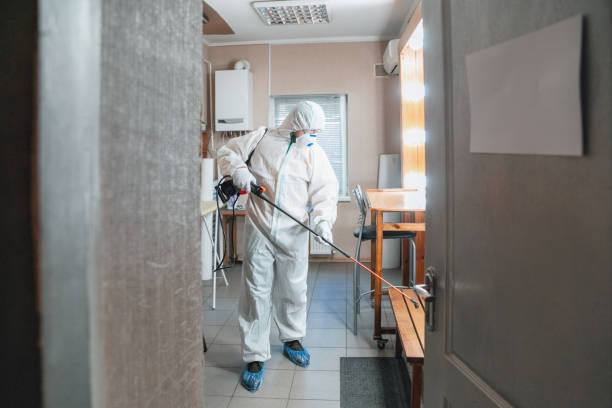 Mold Documentation for Insurance Claims