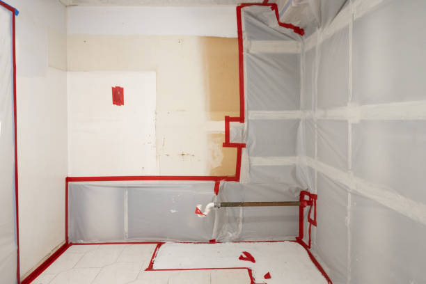 Forensic Mold Investigation in Wilton Manors, FL